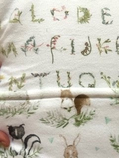 Sweet Forrest Animals and Alphabet Reversible Baby Blanket
