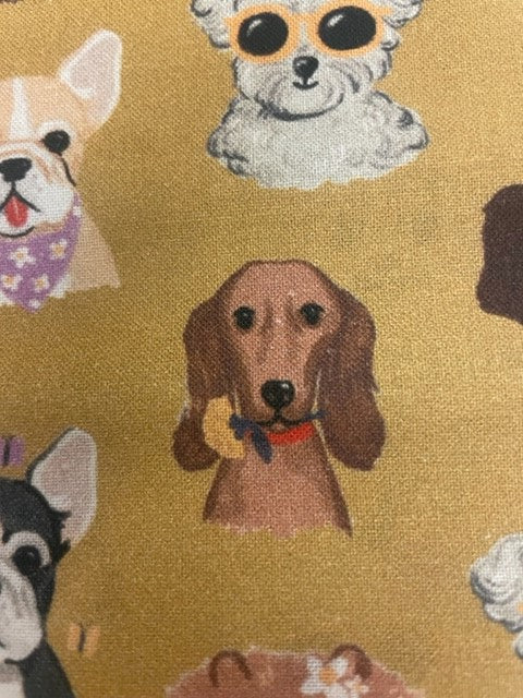 Coolest Dog Reversible Blanket!
