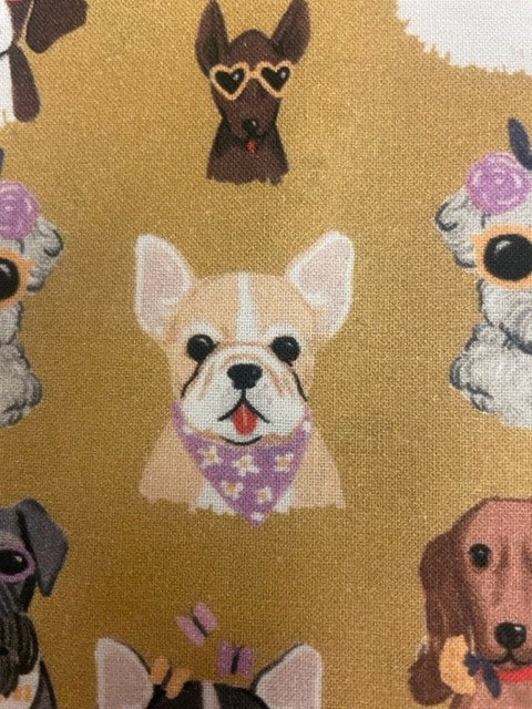 Coolest Dog Reversible Blanket!