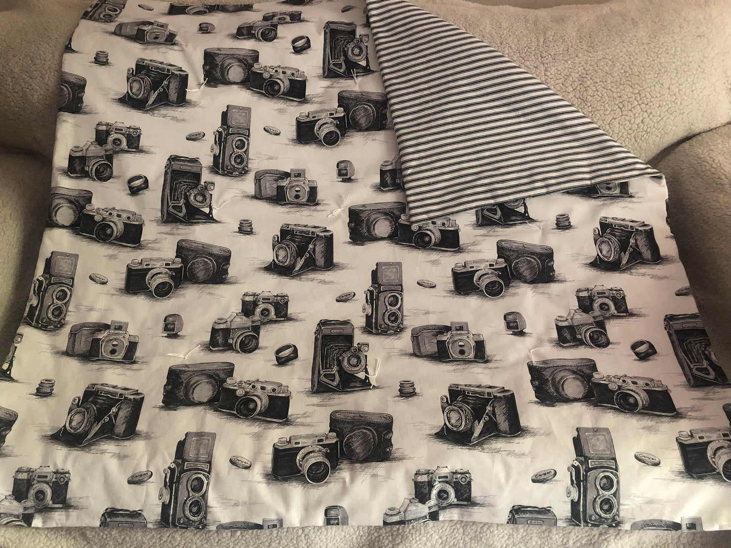Camera Lap Quilt