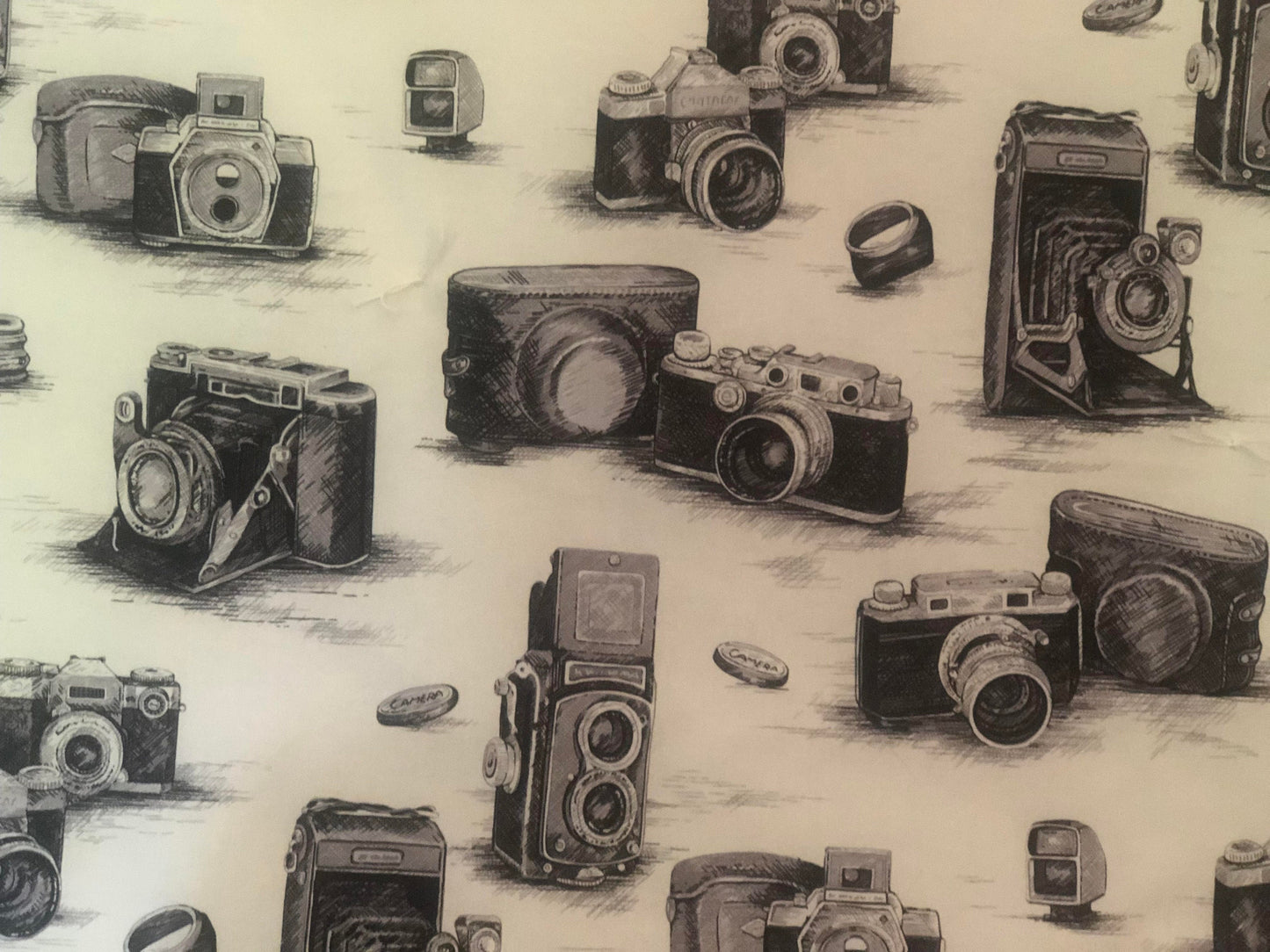 Vintage-Like Camera Lap Quilt/Throw