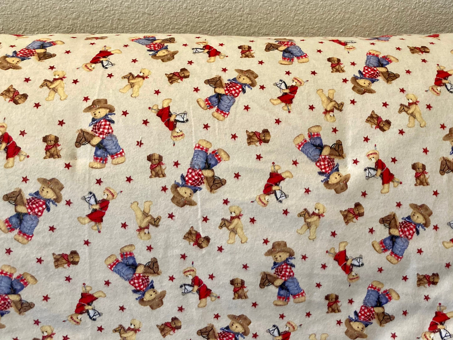 Sweet Western Teddy Bear Blanket