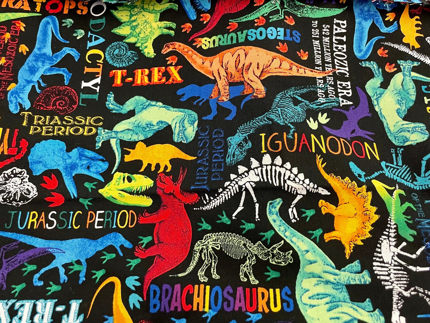 Coolest dinosaur blanket ever!