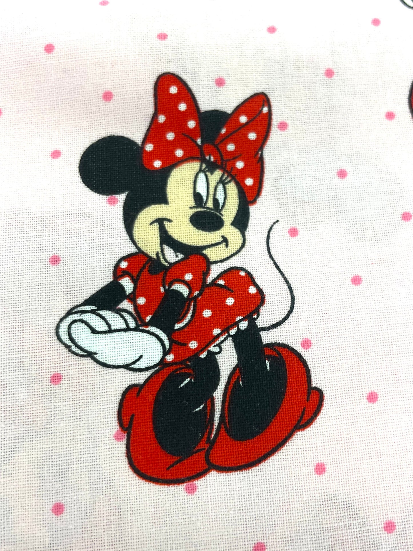 Cutest Minnie Mouse reversible blanket ever!
