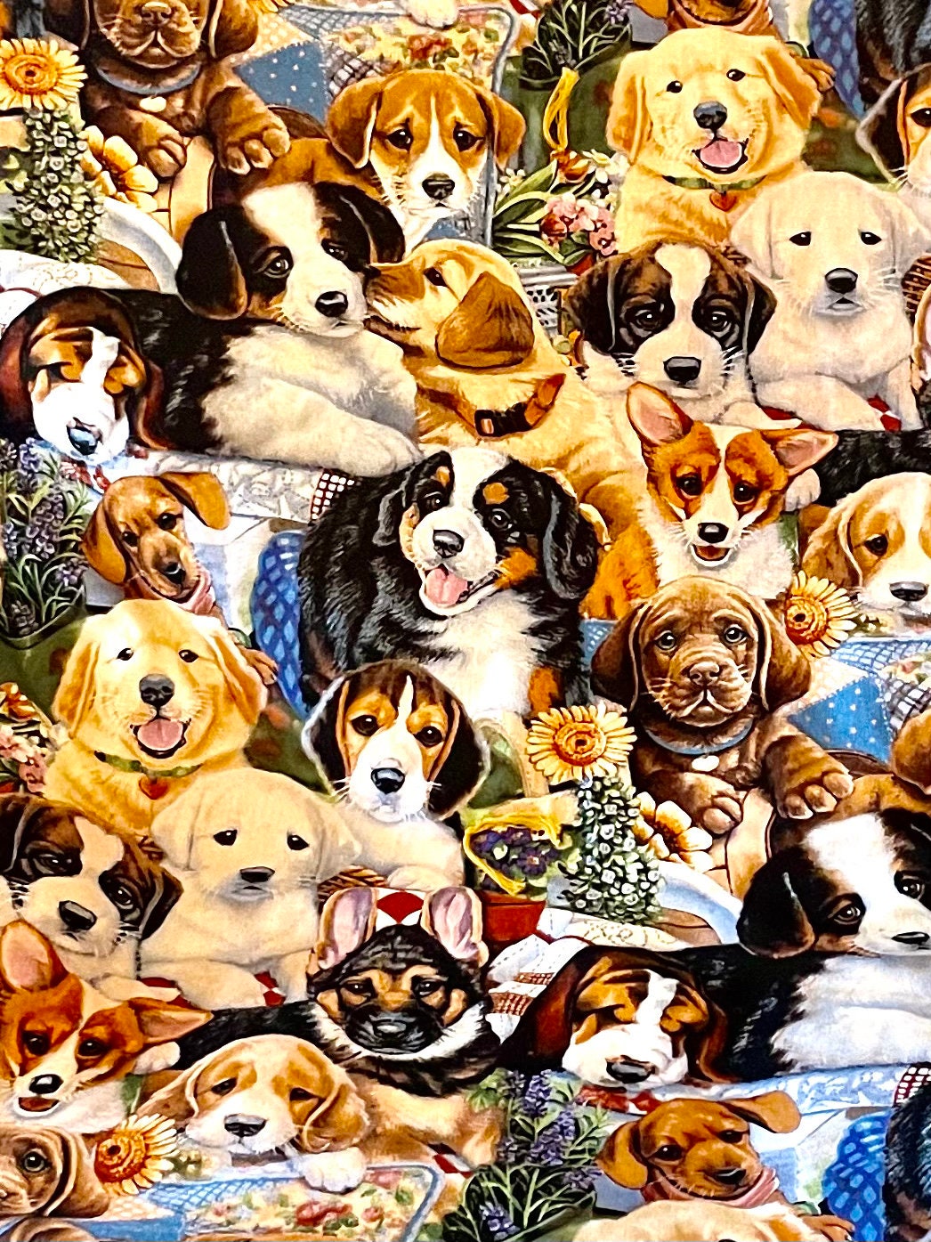 Ultimate dog and puppy lover reversible blanket