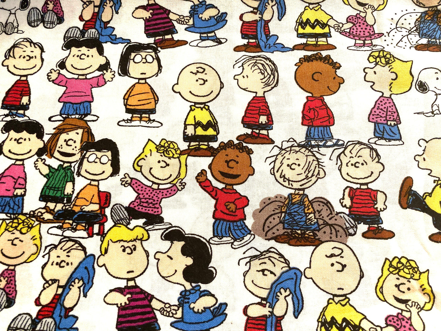 Beautiful Charlie Brown reversible blanket! All your favorite characters!