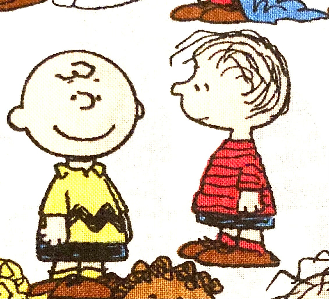 Beautiful Charlie Brown reversible blanket! All your favorite characters!