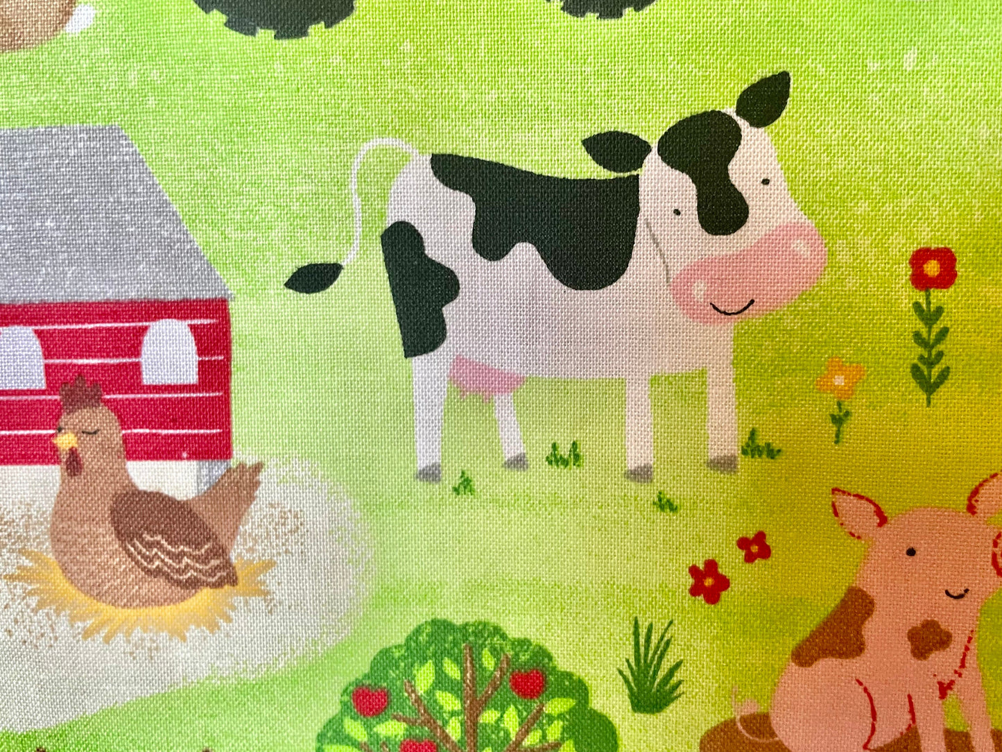 Sweetest farm and animal baby reversible blanket!