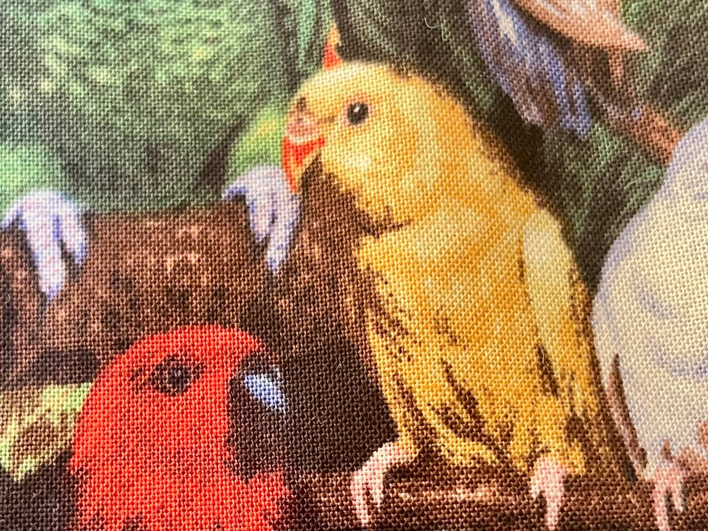 Colorful Parrot Head Blanket and Gift