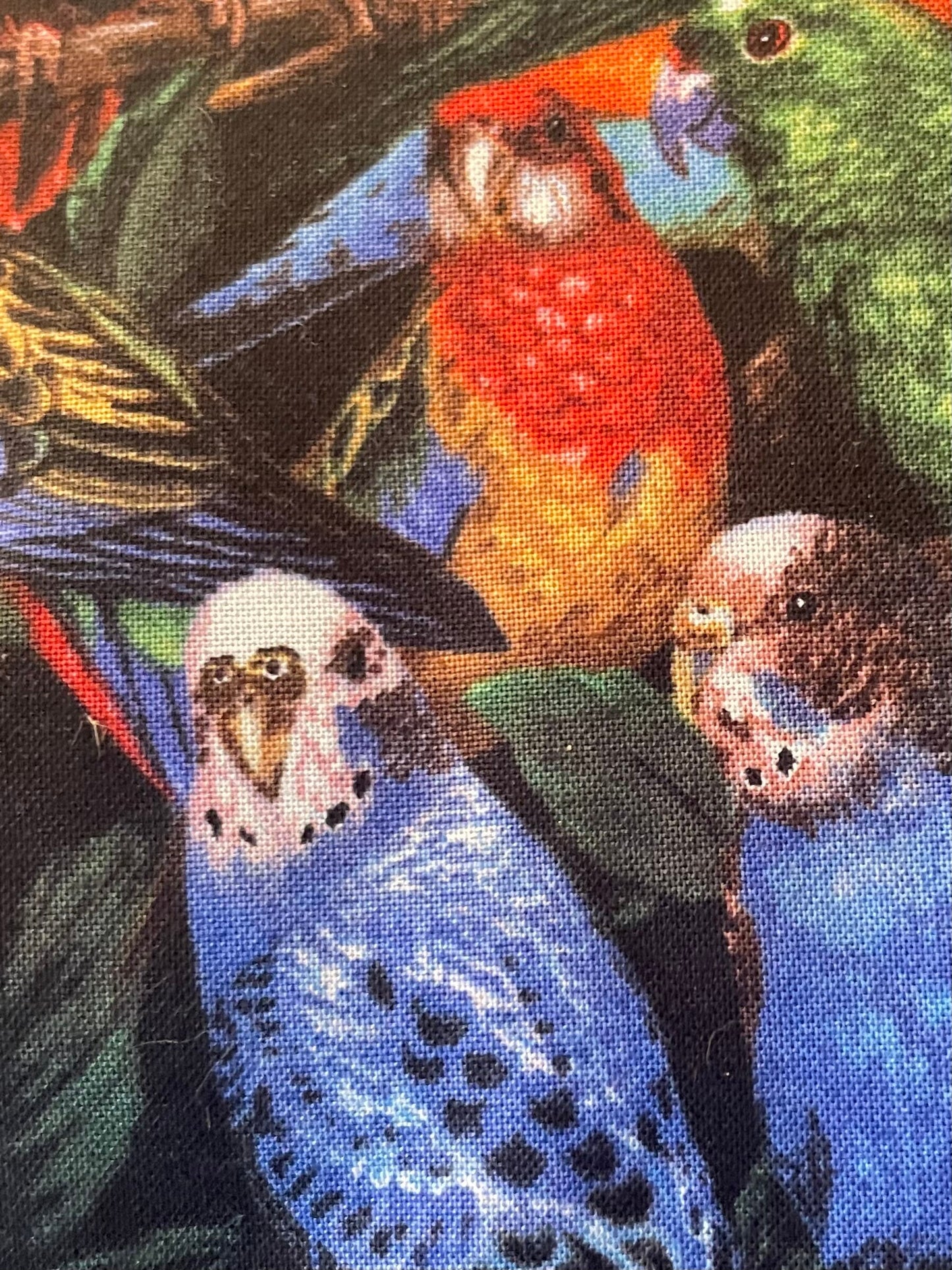 Colorful Parrot Head Blanket and Gift