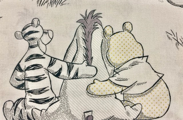 Precious Winnie the Pooh and Friends Reversible blanket