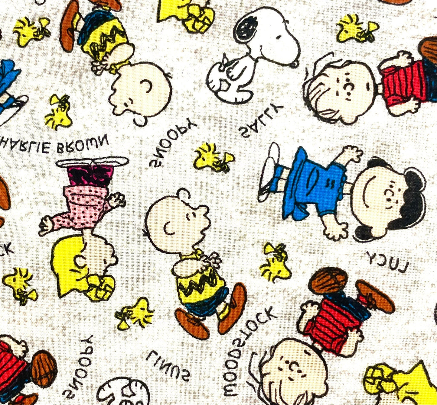 Cutest Peanuts, Charlie Brown, Snoopy blanket ever! Reversible!