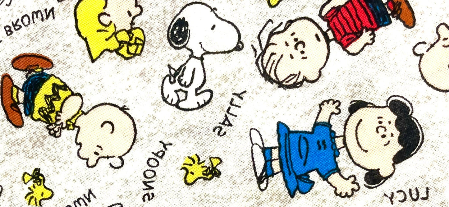 Cutest Peanuts, Charlie Brown, Snoopy blanket ever! Reversible!