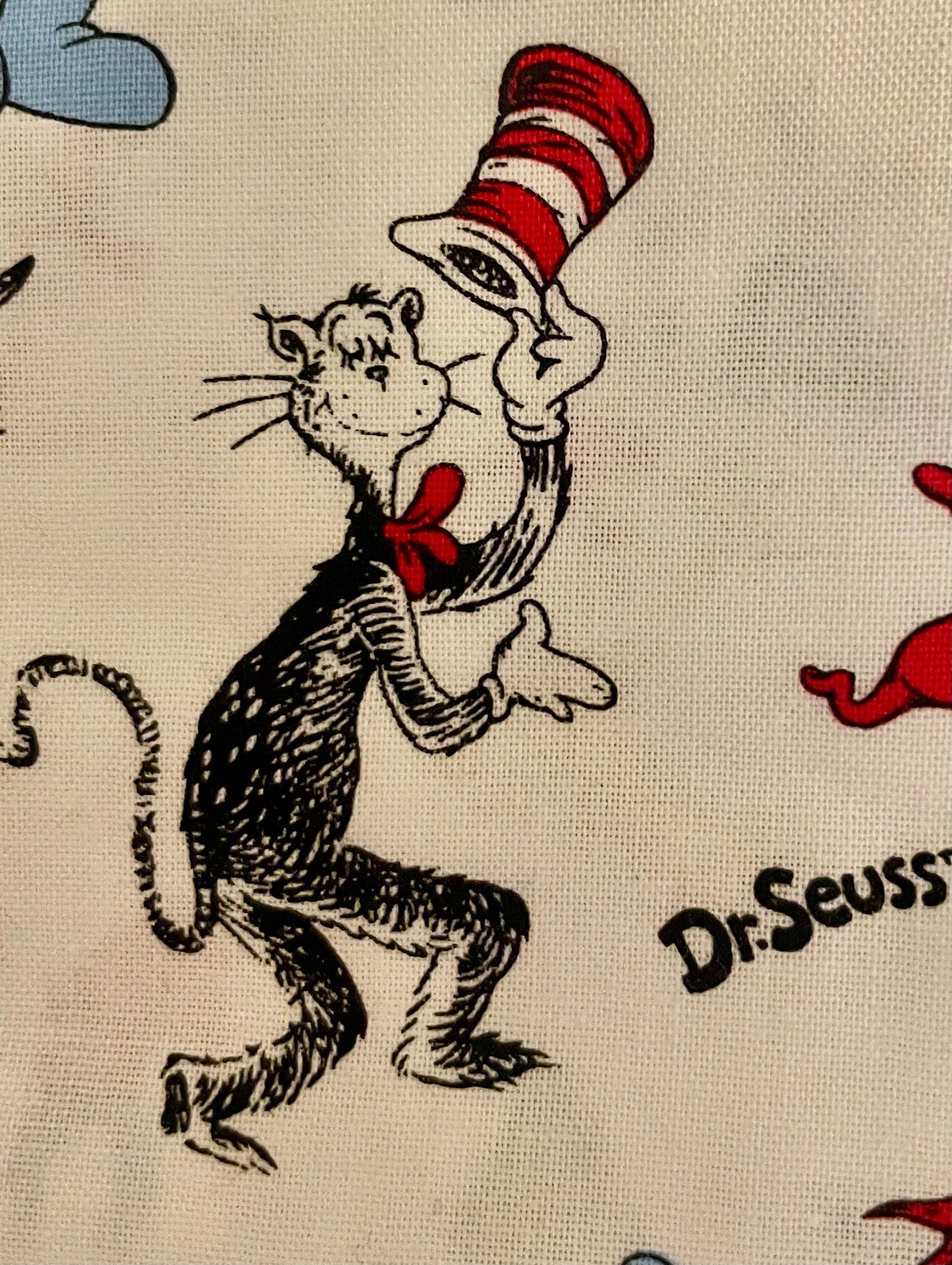 Best Dr Seuss reversible blanket!