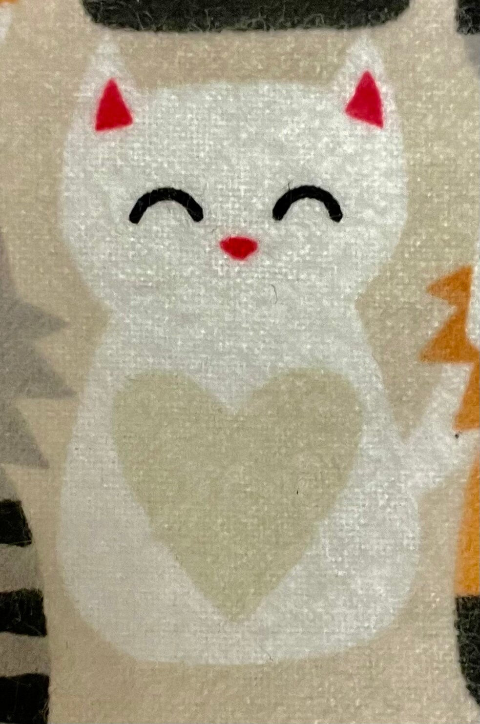 Cutest cat lover blanket and gift!