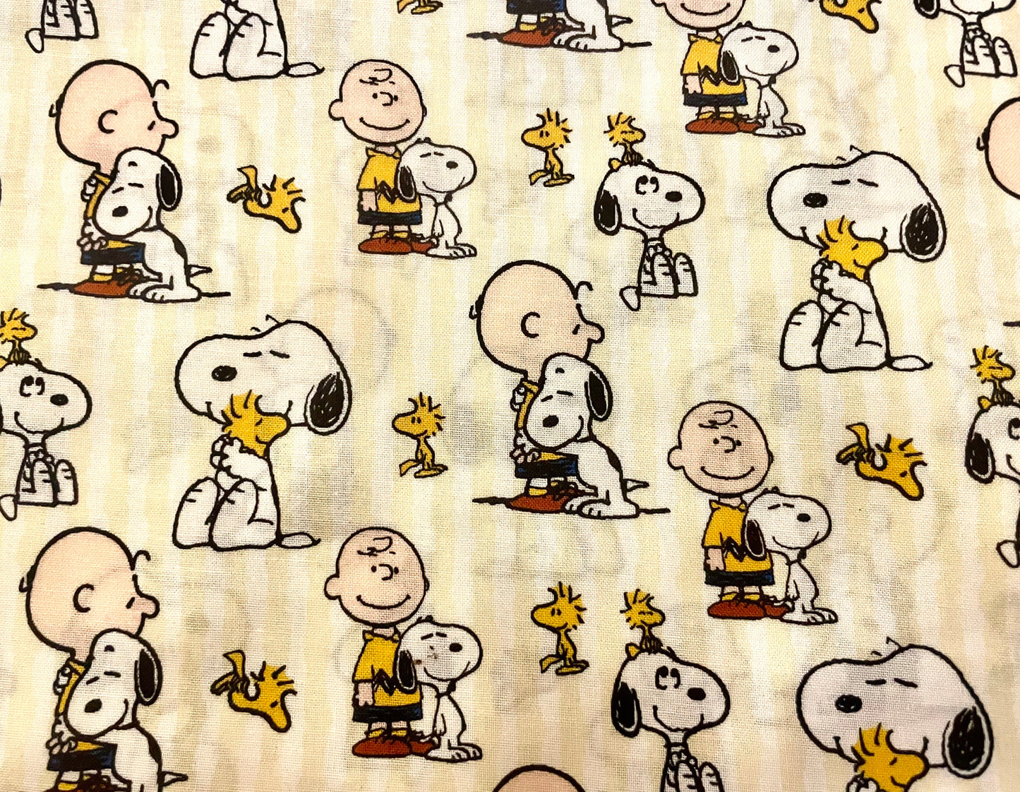 Sweetest Snoopy and Charlie Brown blanket ever!