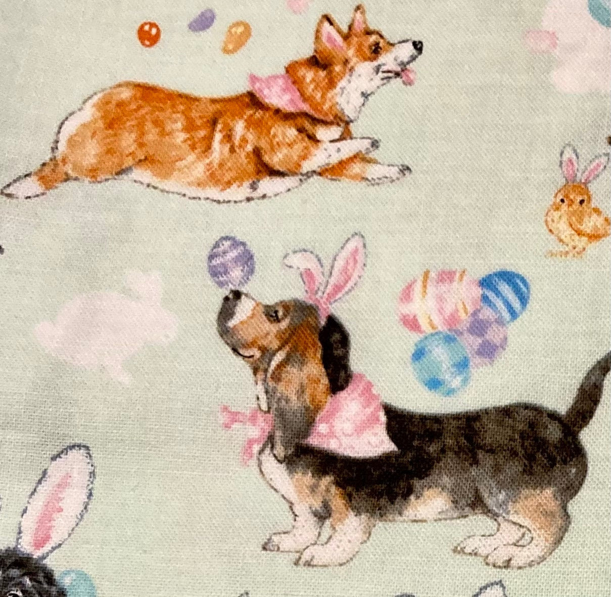 Cutest Easter and dog lover blanket ever!