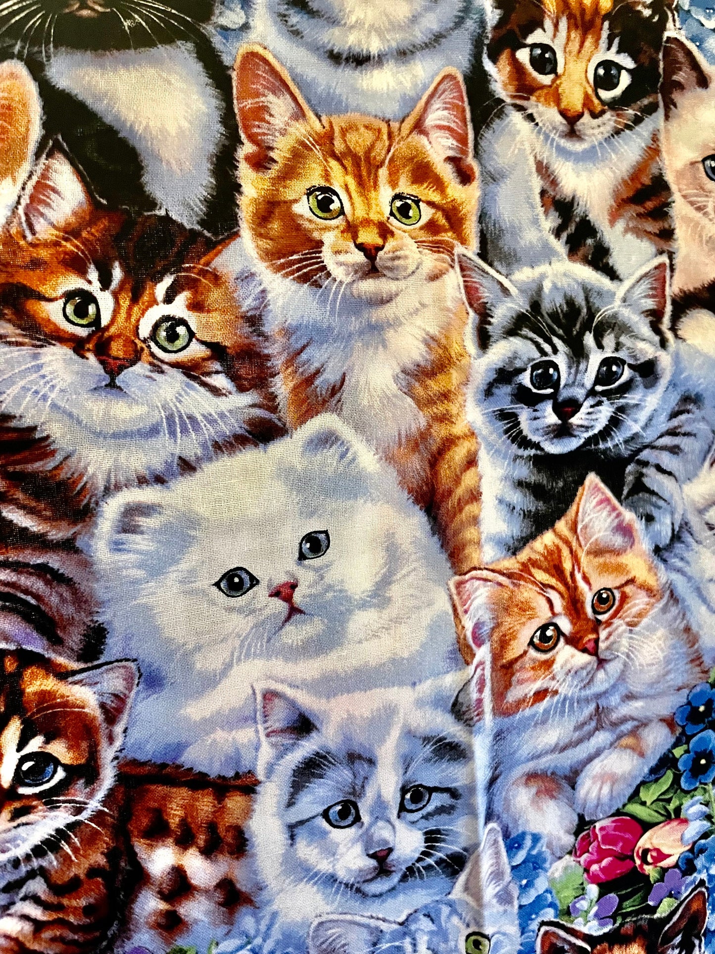 Best Cat and kitten lover blanket ever!
