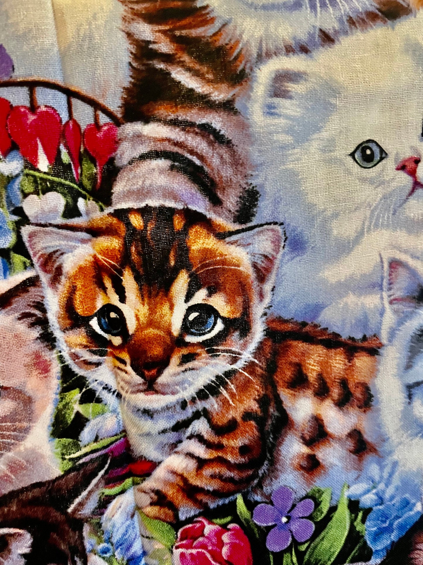 Best Cat and kitten lover blanket ever!