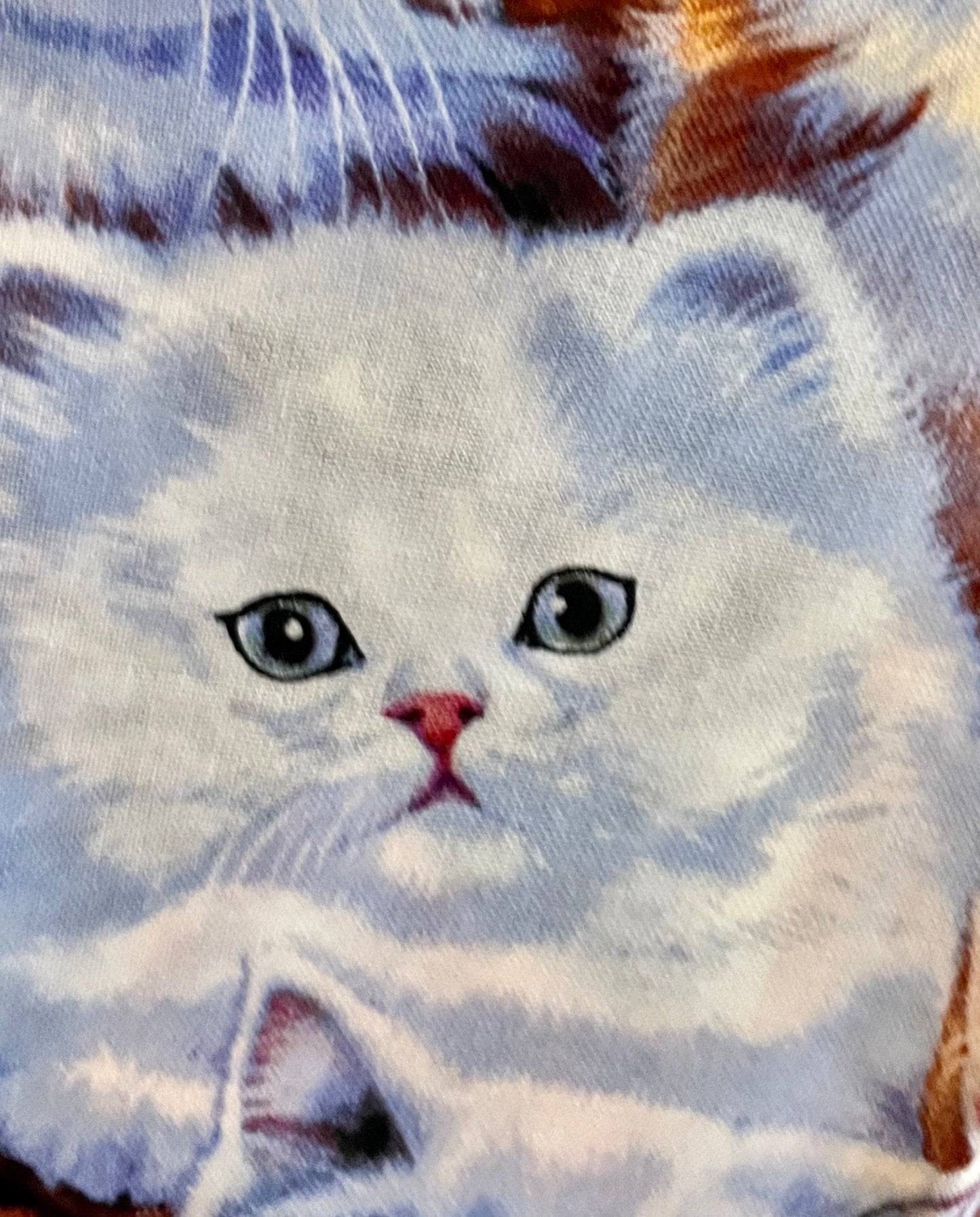 Best Cat and kitten lover blanket ever!