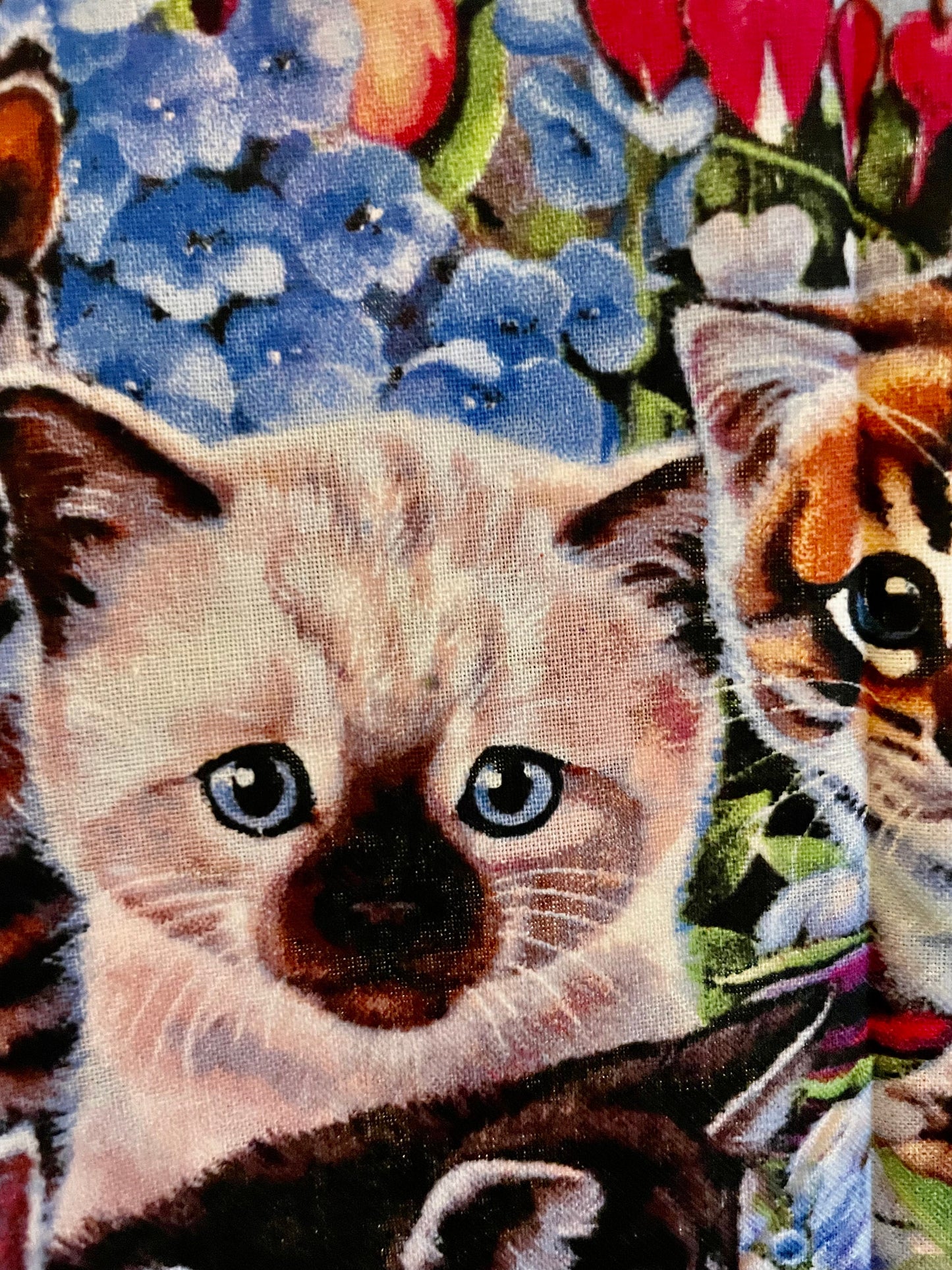 Best Cat and kitten lover blanket ever!