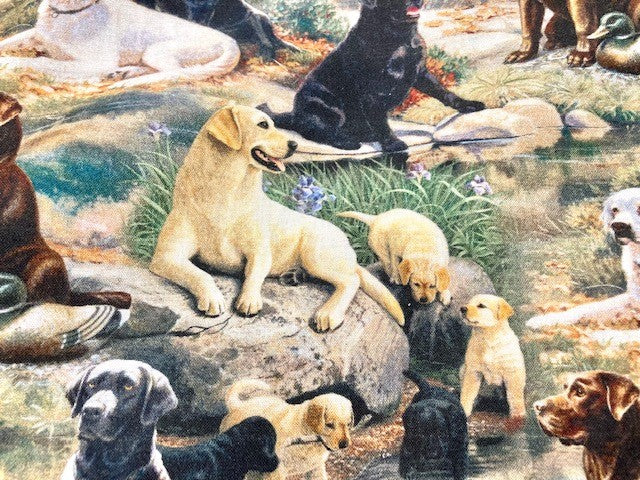 Perfect Labrador Lover blanket - All of them