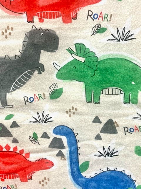 Best Dinosaur Reversible Blanket