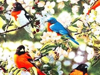 Beautiful Birds and Flowers Blanket and Gift