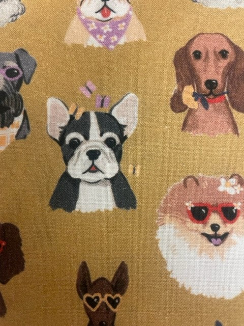 Coolest Dog Reversible Blanket!