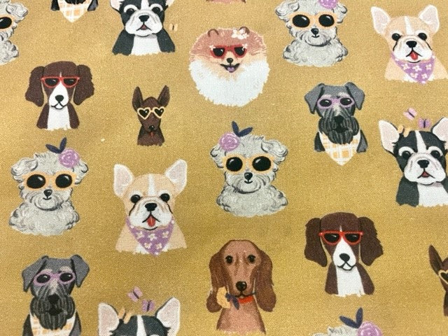 Coolest Dog Reversible Blanket!