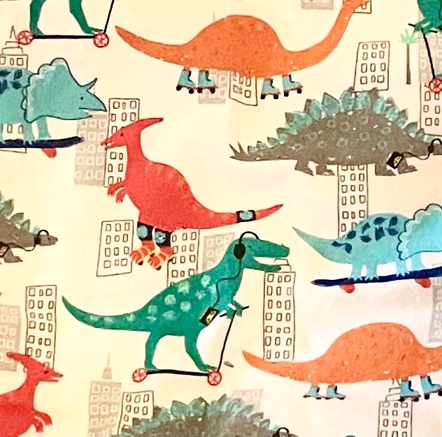The coolest Dinosaurs on skateboards blanket!