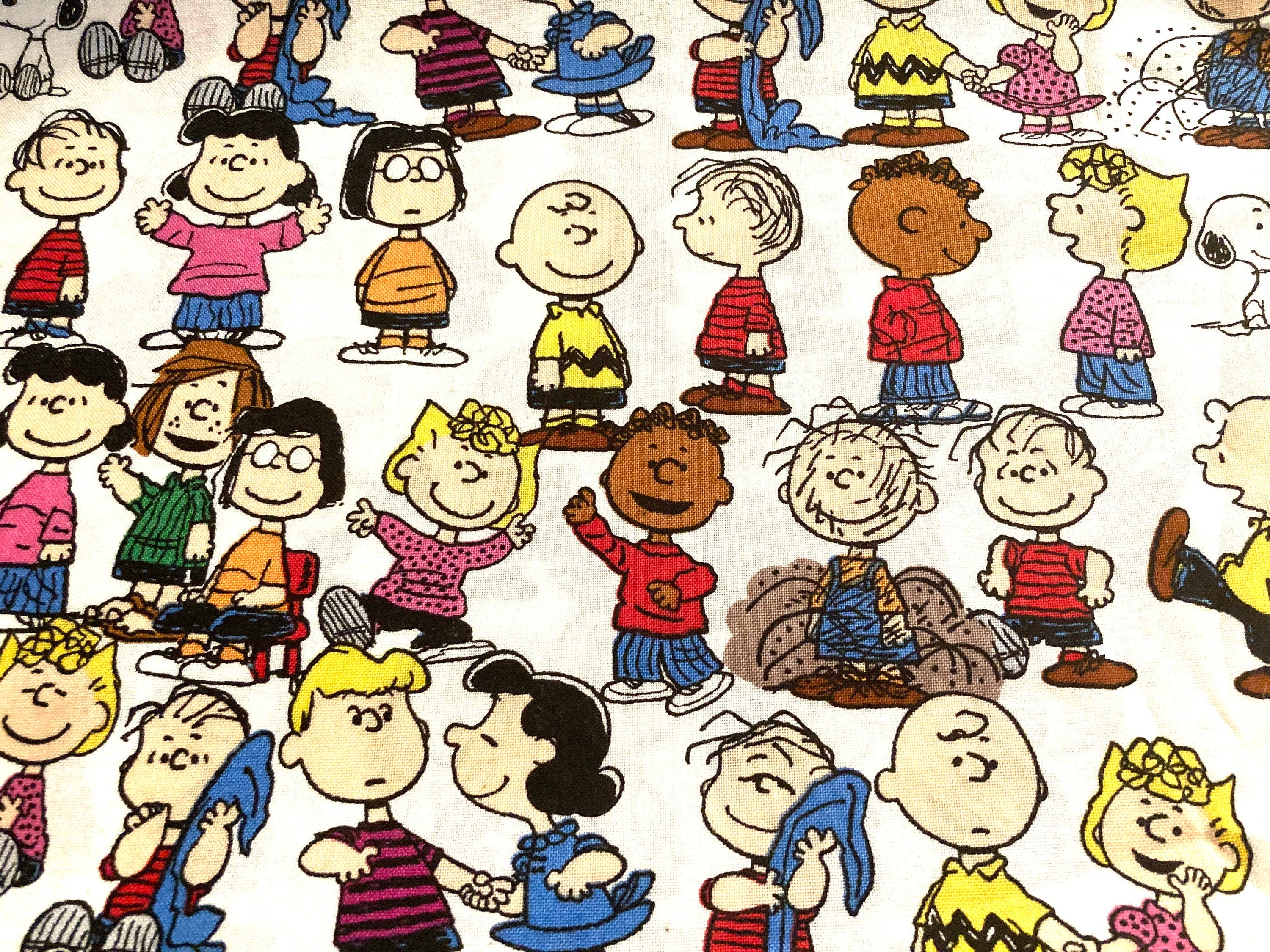 Charlie Brown Character Rotation Beautiful Charlie Brown reversible blanket! All your favorite characte ...