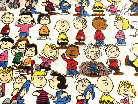 Beautiful Charlie Brown reversible blanket! All your favorite characters!