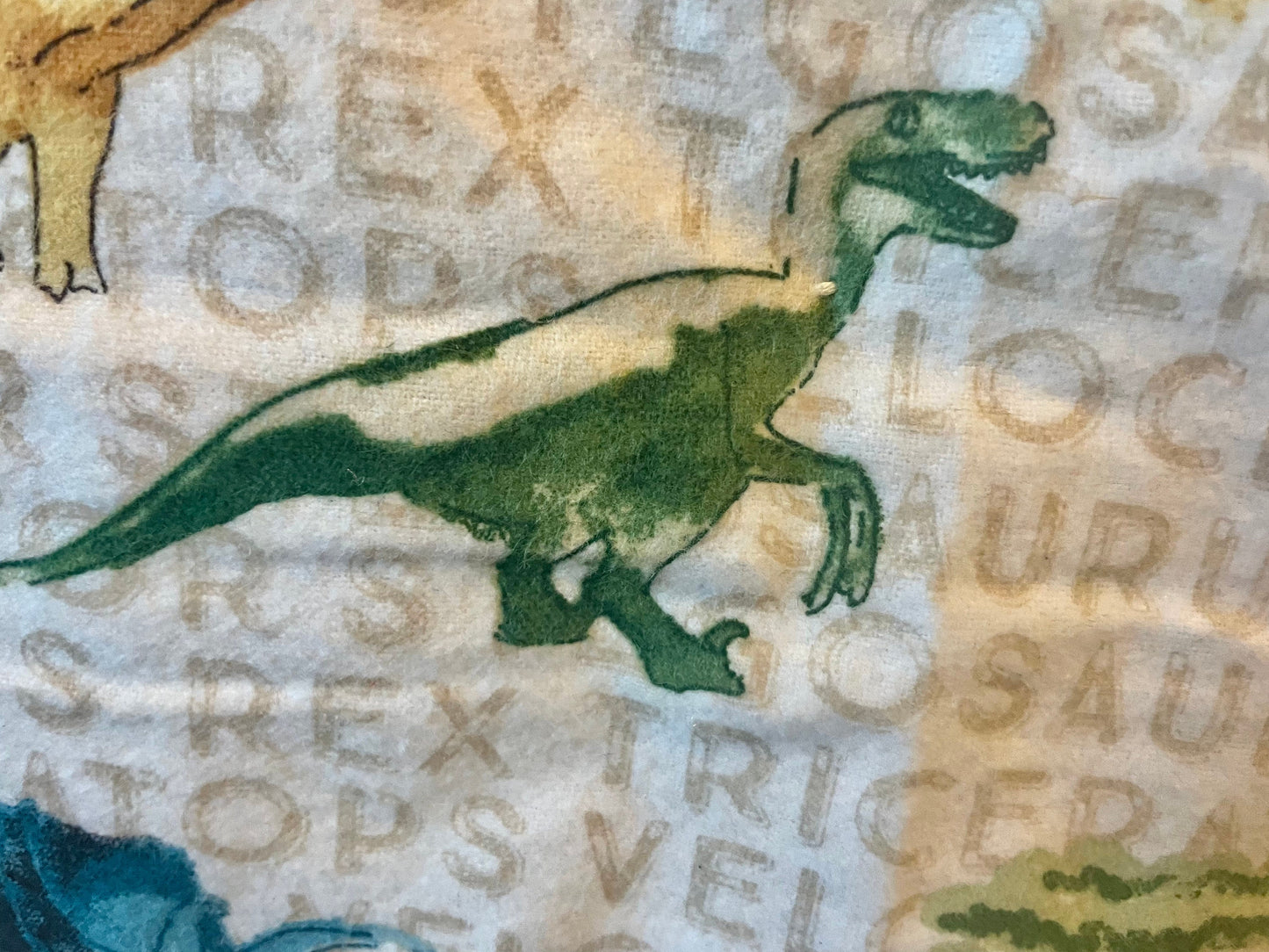 Cool Dinosaur blanket that teaches their names!