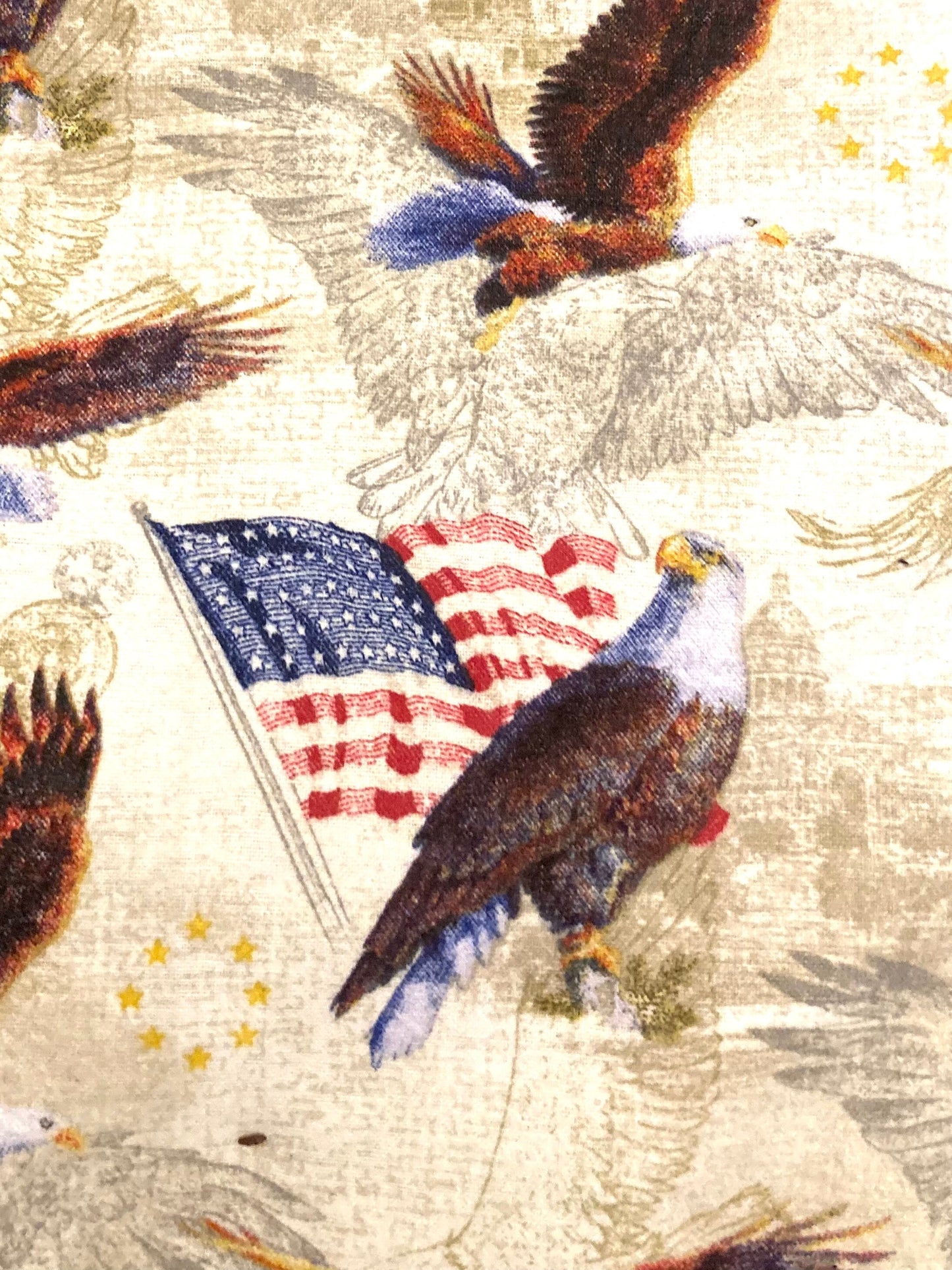 Gorgeous Patriotic eagle and flag reversible blanket