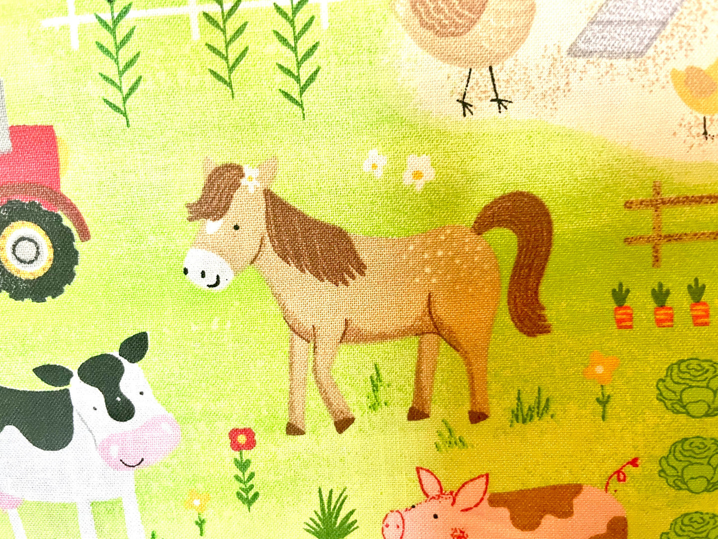 Sweetest farm and animal baby reversible blanket!
