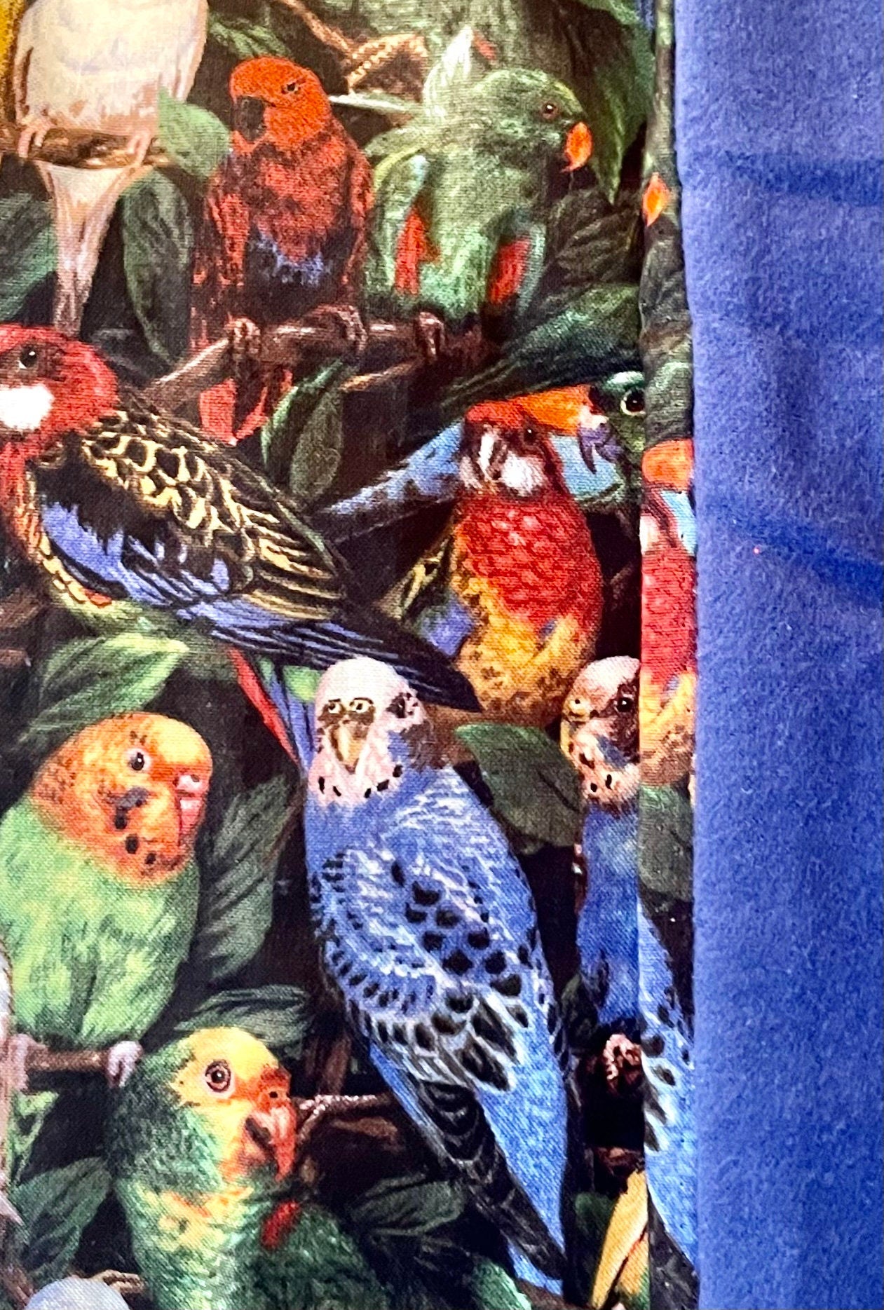 Colorful Parrot Head Blanket and Gift