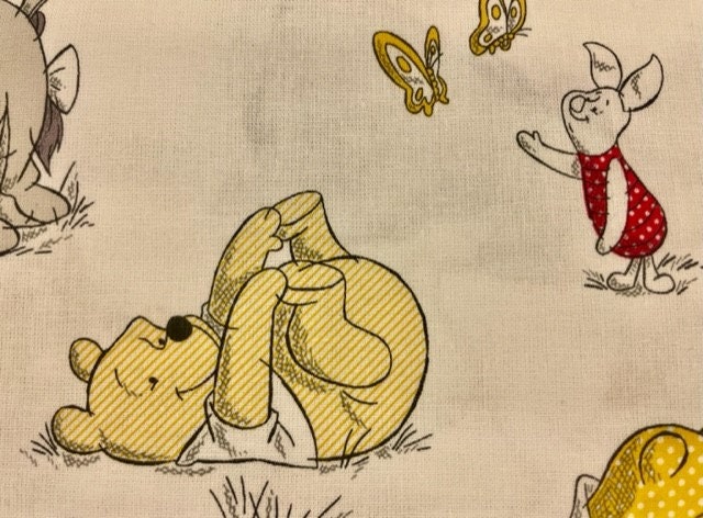 Precious Winnie the Pooh and Friends Reversible blanket