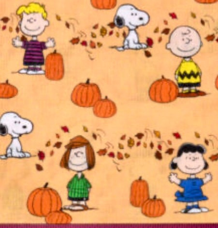Cutest Peanuts Charlie Brown Thanksgiving blanket!