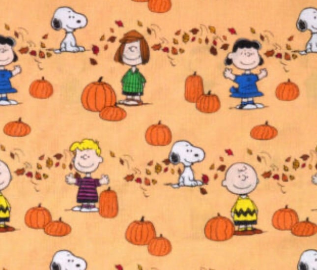 Cutest Peanuts Charlie Brown Thanksgiving blanket!