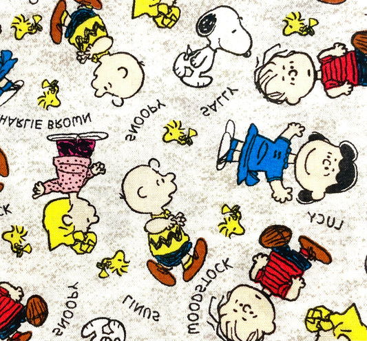 Cutest Peanuts, Charlie Brown, Snoopy blanket ever! Reversible!