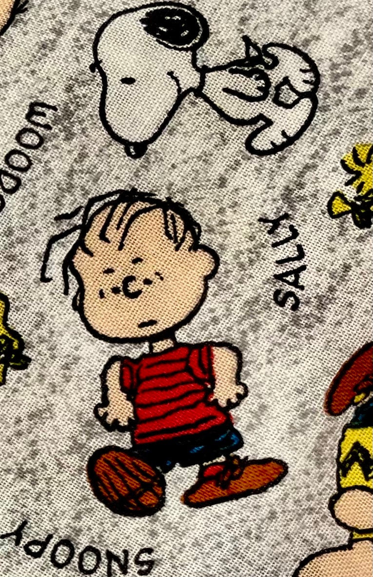 Cutest Peanuts, Charlie Brown, Snoopy blanket ever! Reversible!