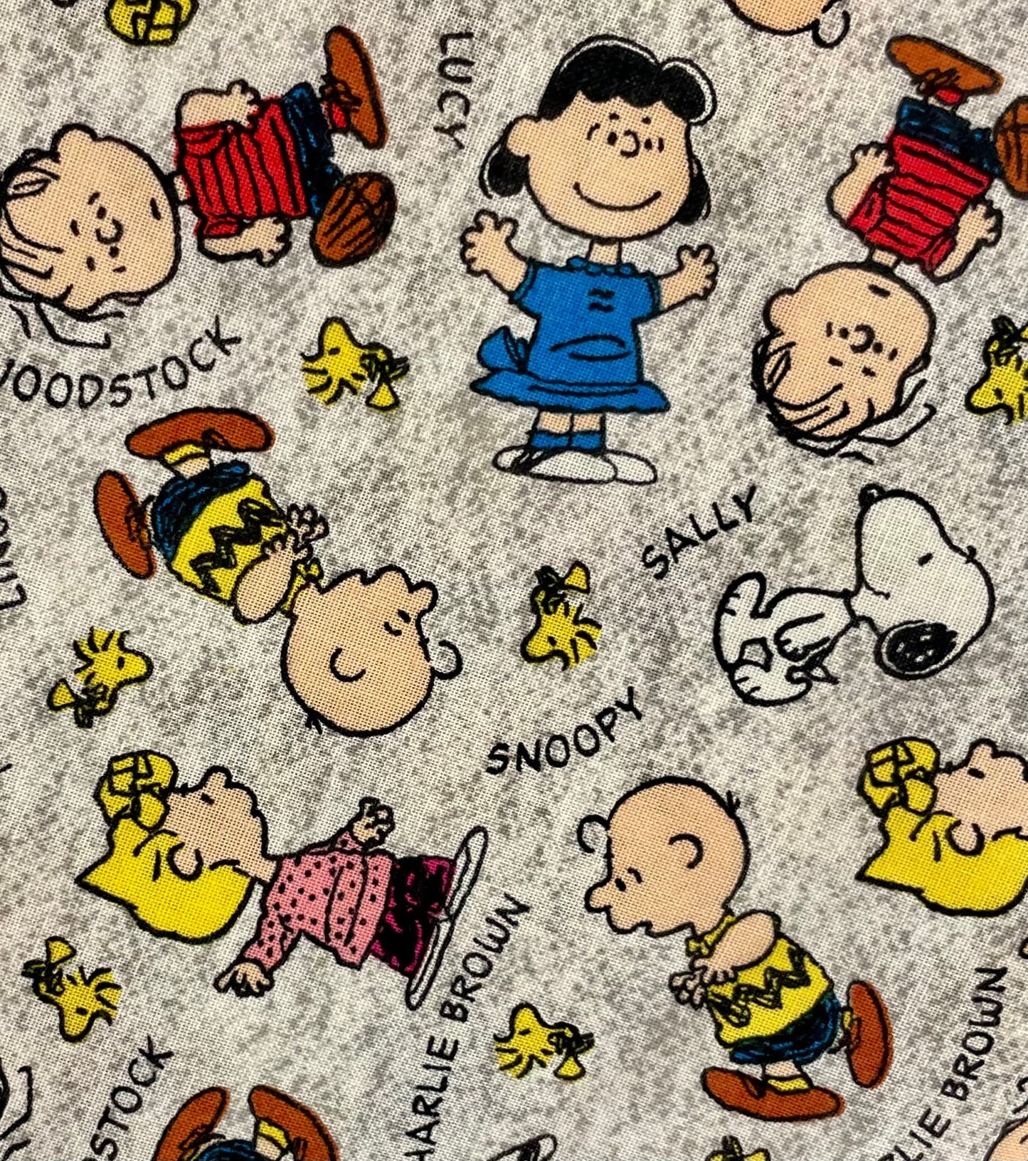 Cutest Peanuts, Charlie Brown, Snoopy blanket ever! Reversible!