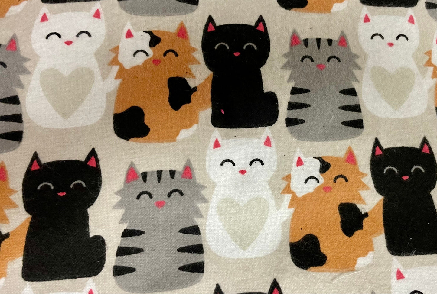 Cutest cat lover blanket and gift!