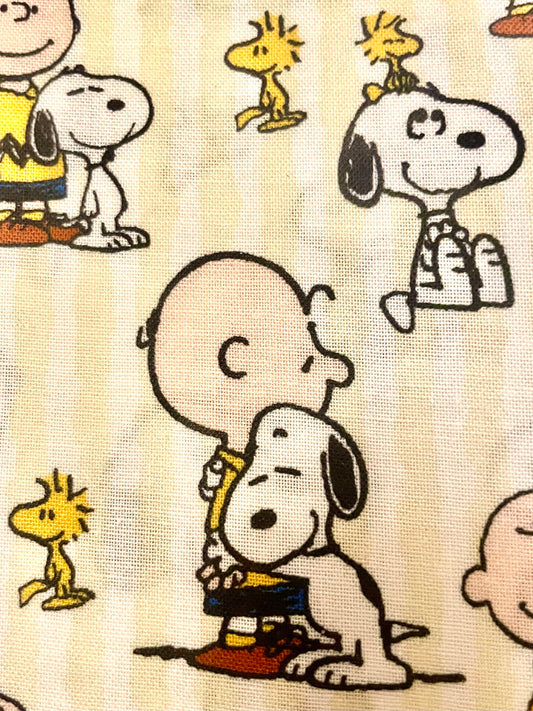 Sweetest Snoopy and Charlie Brown blanket ever!