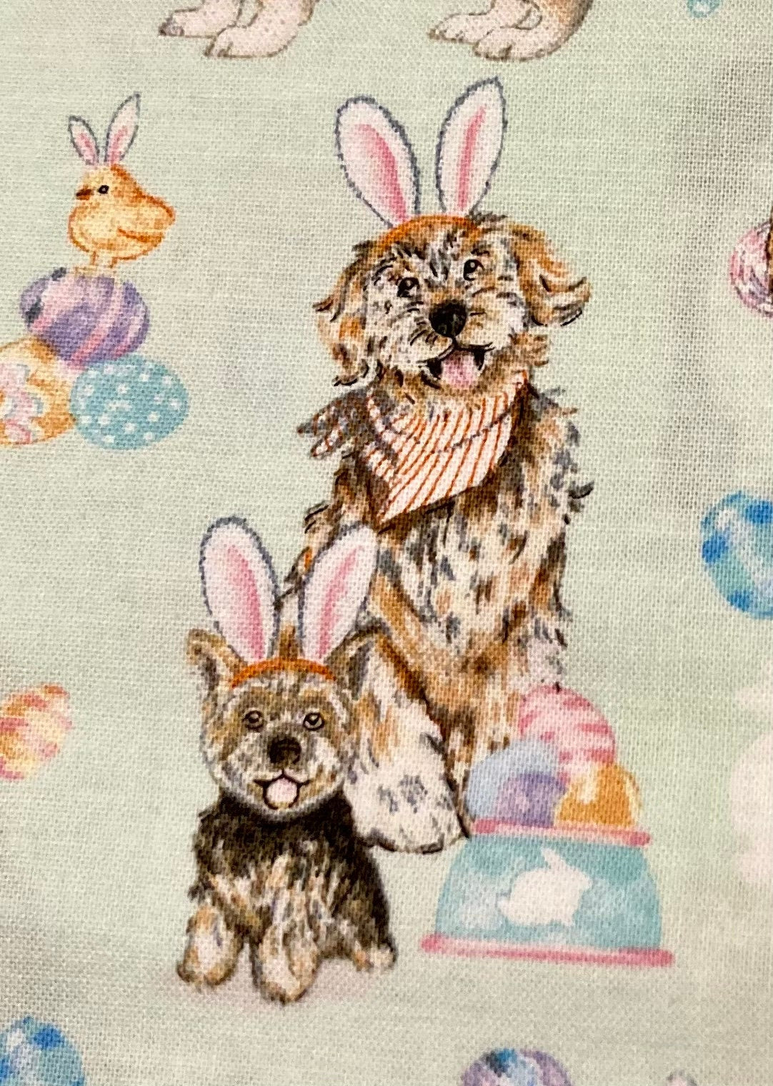 Cutest Easter and dog lover blanket ever!