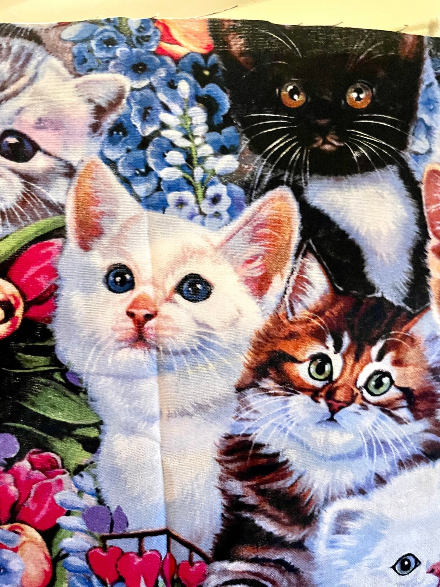 Best Cat and kitten lover blanket ever!