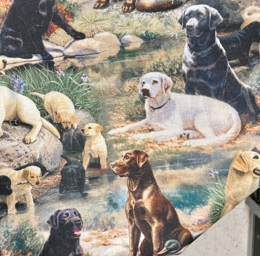 Perfect Labrador Lover blanket - All of them